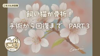 飼い猫が骨折!手術から回復までのお話 Part3